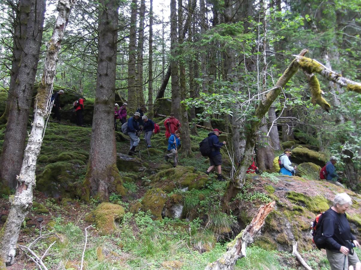 Hardanger Basecamp Hostel Osa ภายนอก รูปภาพ
